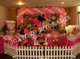 MINIE ROSA (5 TAMPOS)